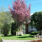 Lägenhet Dahoam Am Berg Kolsassberg