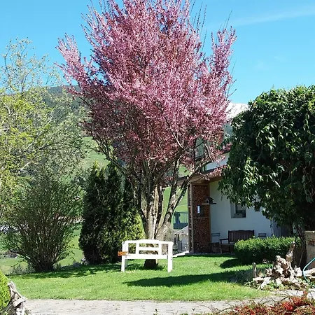 Apartment Dahoam Am Berg Kolsassberg