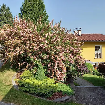 Dahoam Am Berg Apartment