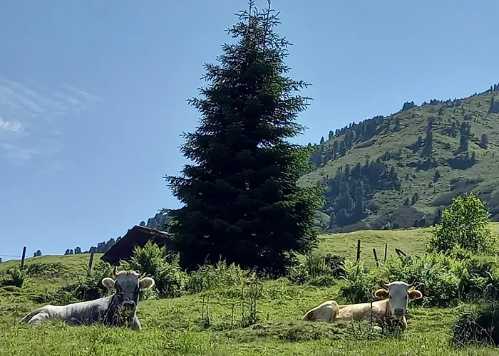 Apartment Dahoam Am Berg *