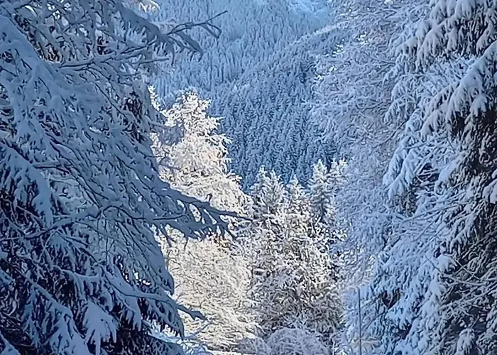 Dahoam Am Berg * Kolsassberg