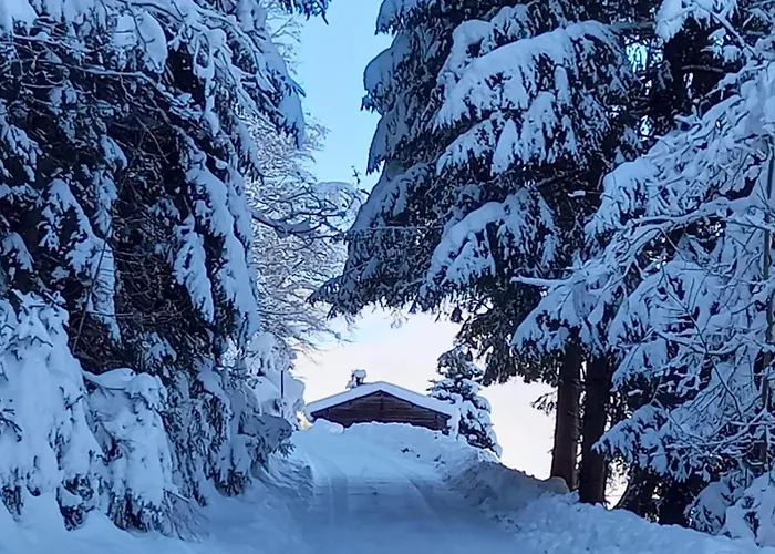 Apartman Dahoam Am Berg Kolsassberg