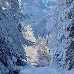 Dahoam Am Berg * Kolsassberg