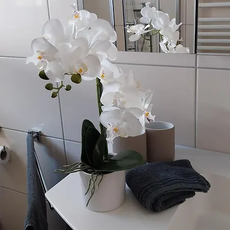 Dahoam Am Berg Apartmán Kolsassberg